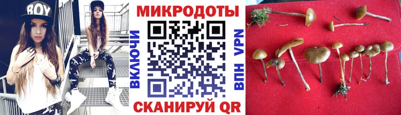 Купить где  Плавск  Галлюциногенные грибы GOLDEN TEACHER 